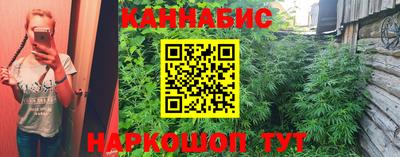 мяу мяу мука Нальчик